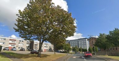 Attempted murder probe launched after man attacked by gang in Edinburgh