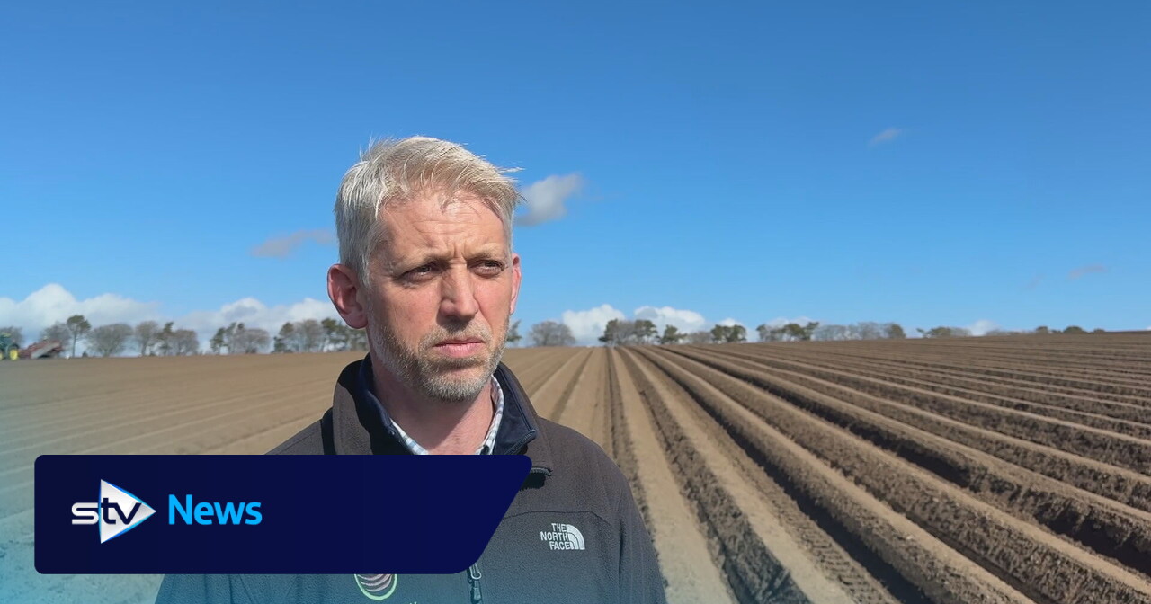 Rising costs and changing tastes put pressure on Scotland’s potato growers