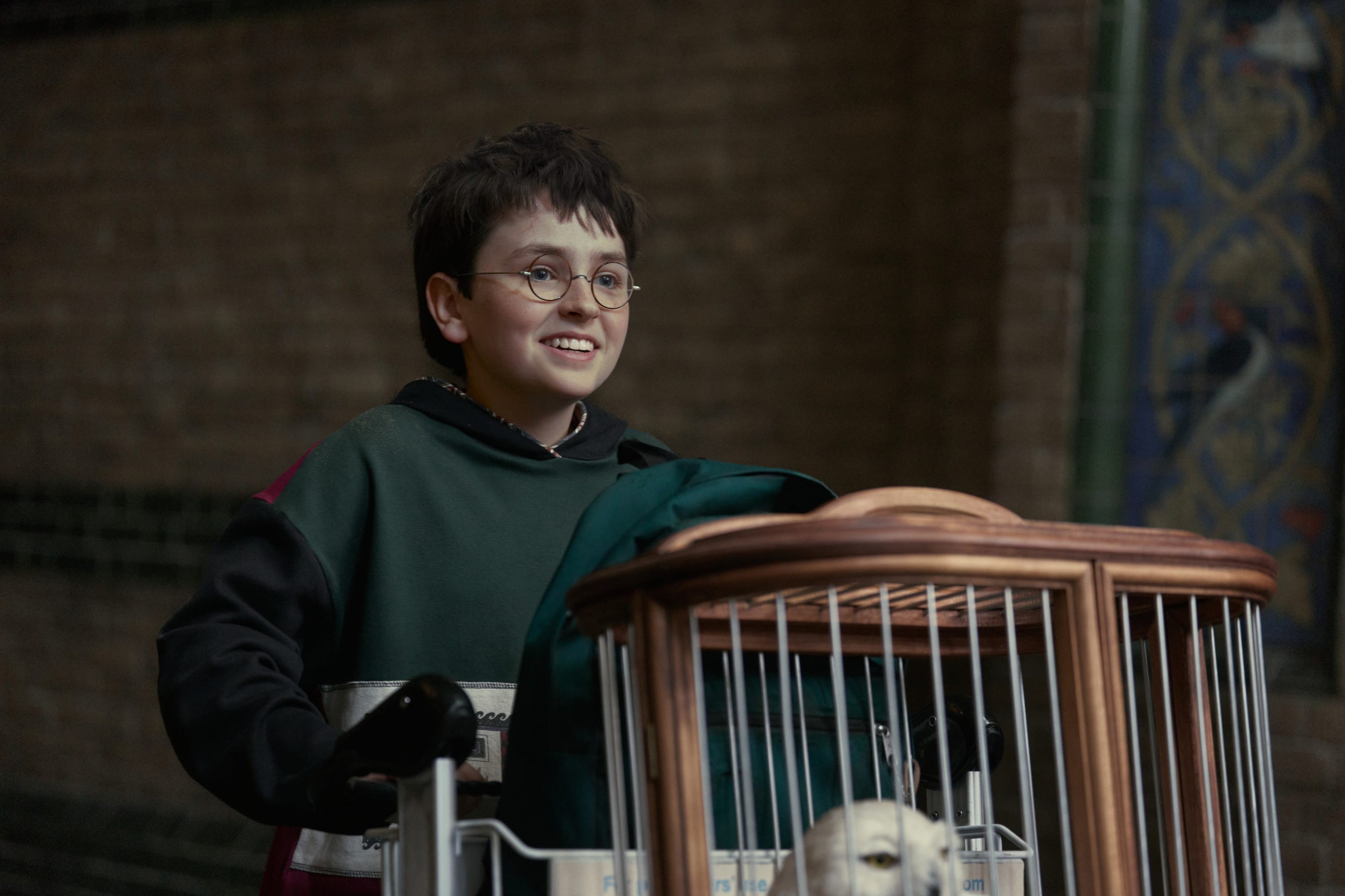 Dominic McLaughlin stars as Harry Potter
