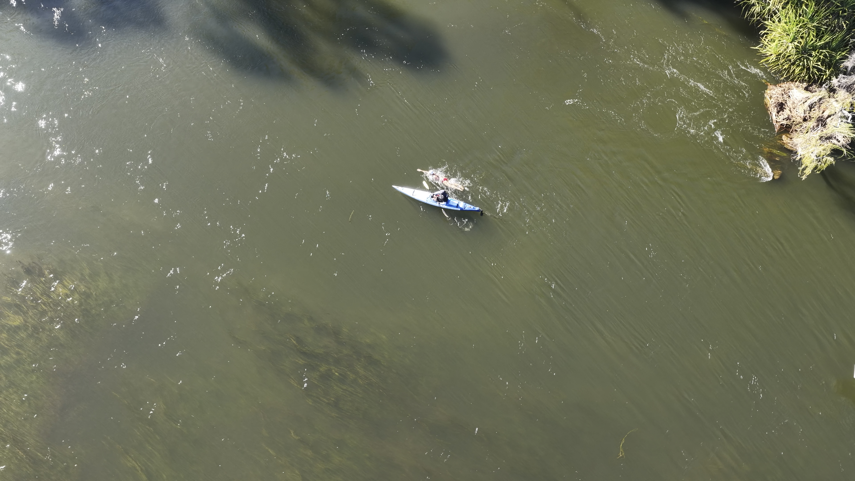 The swim had the added challenge of navigating a river inhabited by 5,500 freshwater crocodiles.