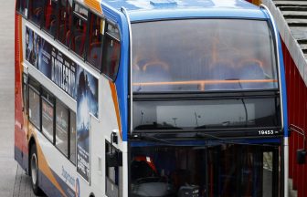 Greens to pledge free bus travel for all as they launch campaign