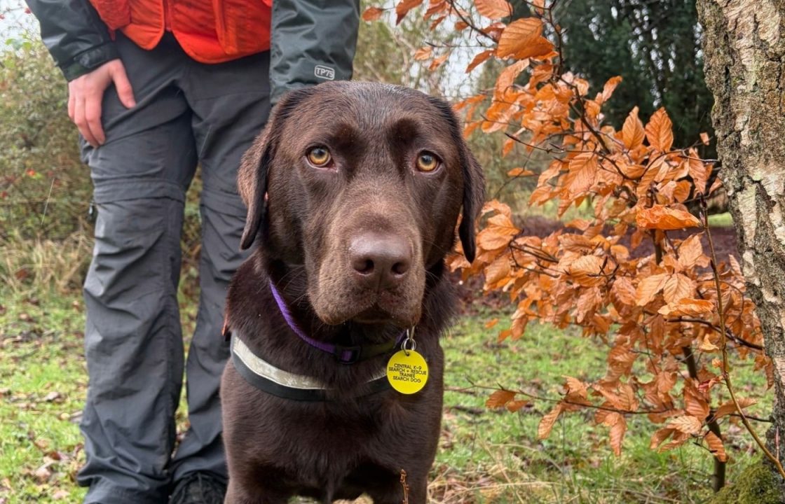 Specialist dogs to help ambulance crews find missing people near lochs and rivers