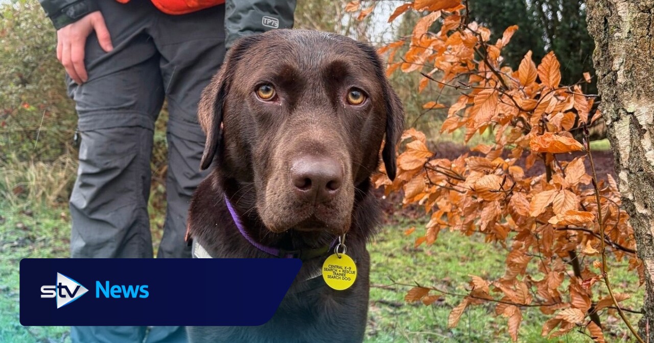 Specialist dogs to help ambulance crews find missing people near lochs ...