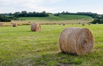 Death of farmer crushed by hay bale in Selkirk to be investigated