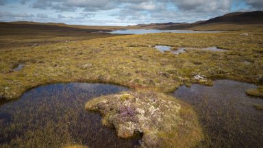 More than 1,000 hectares of ‘globally rare’ peatland to be restored near Loch Ness