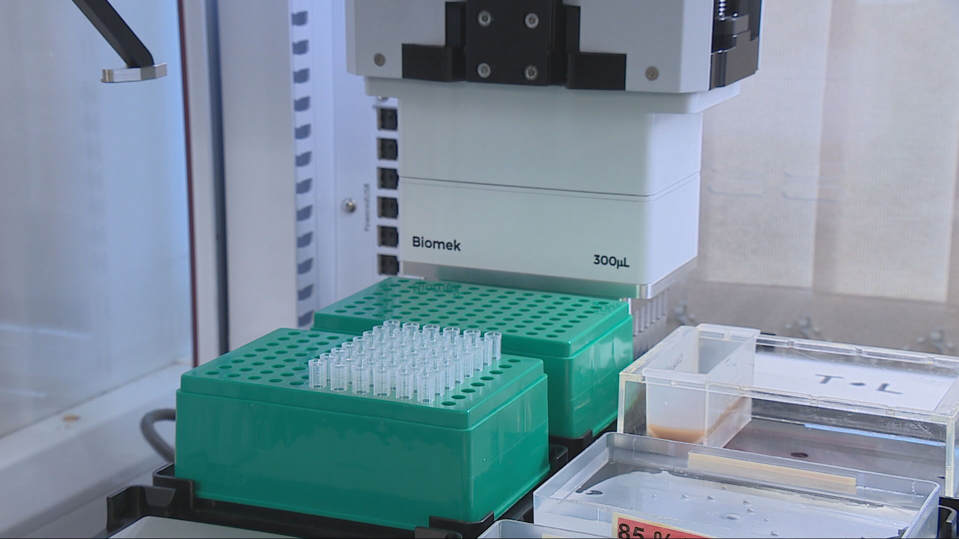 Research has found the BRCA2 cancer‑linked gene is more common among people in parts of Shetland.