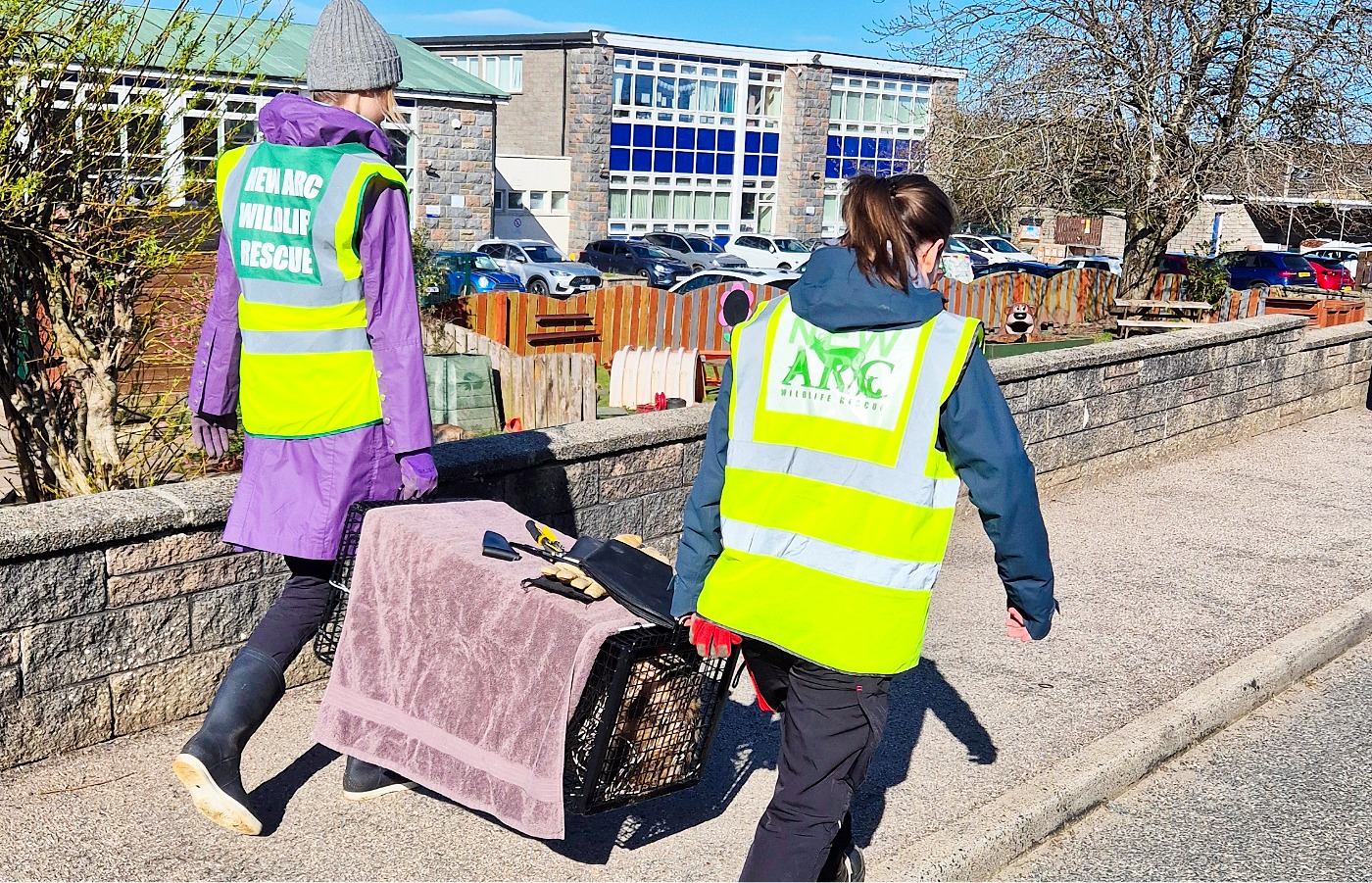 Julia Wending and Audrey Zuliani from New Arc Wildlife Rescue retrieved the badger.