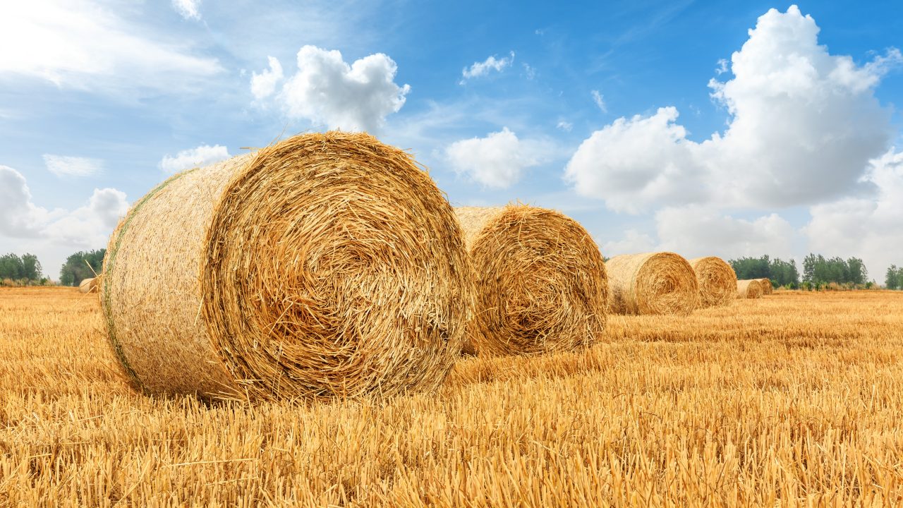 Inquiry into death of two north-east farmers crushed by hay bales begins