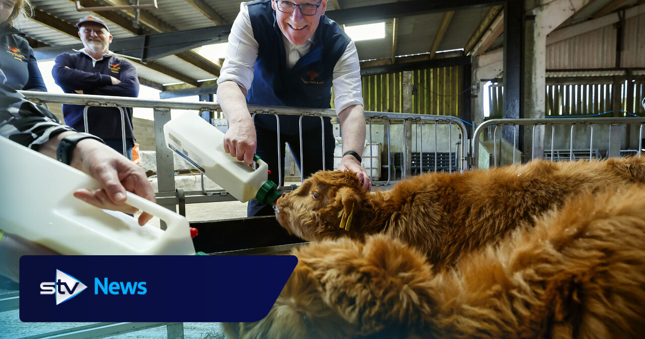 SNP leader John Swinney stands by food price cap policy despite industry criticism