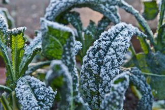 Scotland records UK’s coldest May night in five years