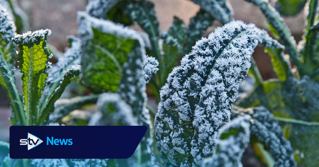 Scotland records UK's coldest May night in five years