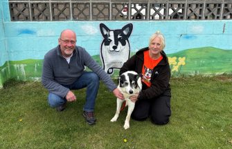 Aberdeen charity fundraiser aims to build 21 new kennels to transform the lives of rescue dogs
