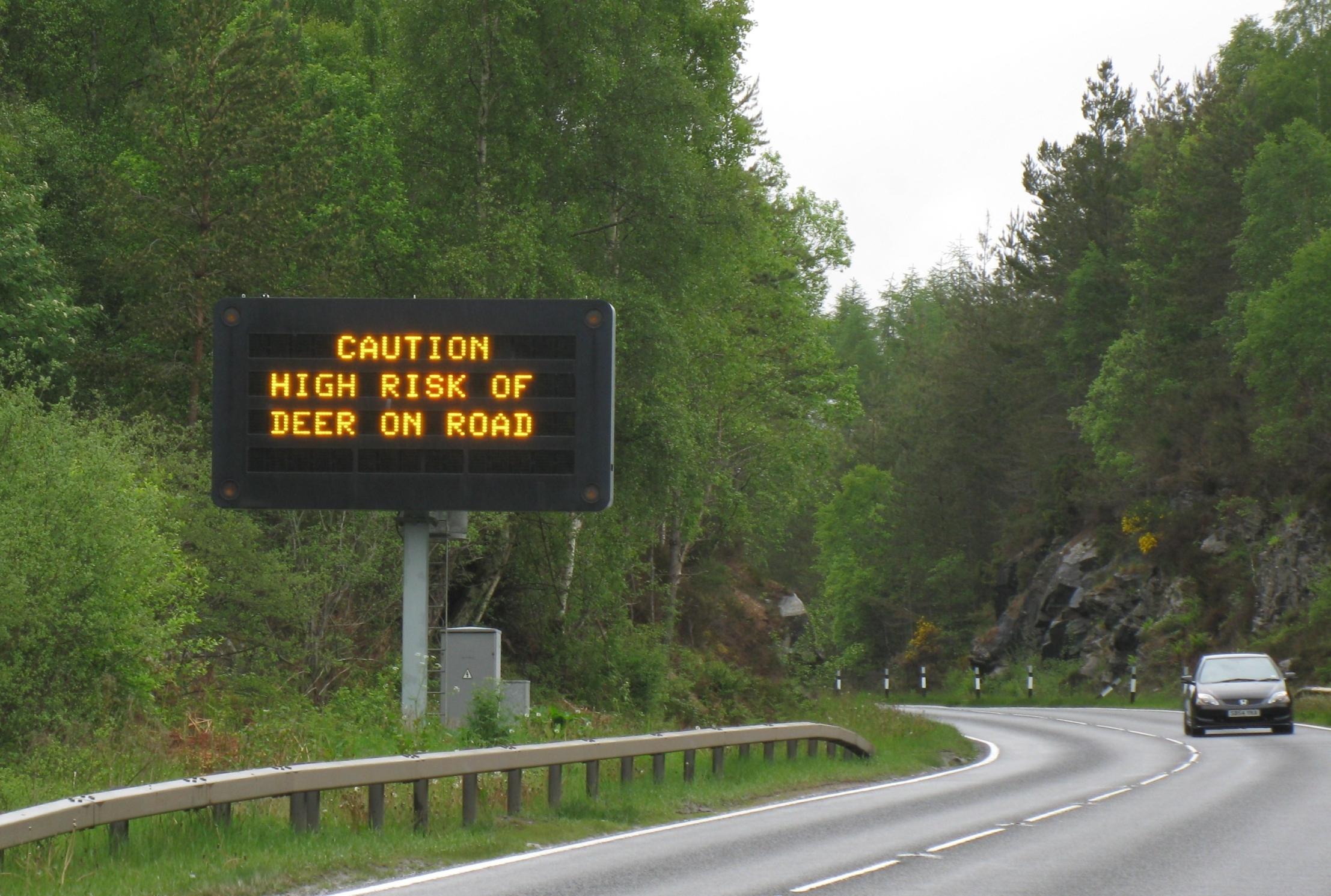 Electronic road sign for deer warning