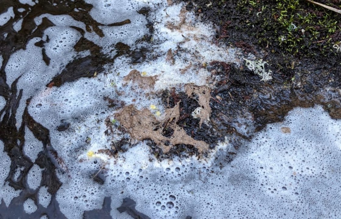 Salmon and other species killed after chemical spills into River Spey tributary