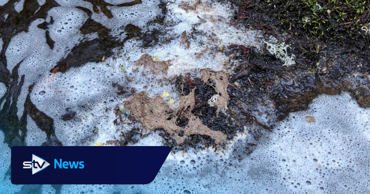 Salmon and other species killed after chemical spills into River Spey ...