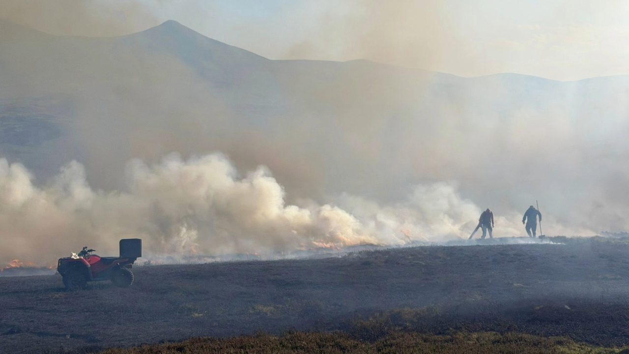 Wildlife scorched as gamekeepers help firefighters battle raging wildfires
