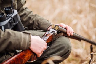Golden eagle shot ‘at least 17 times’ as police hunt person responsible