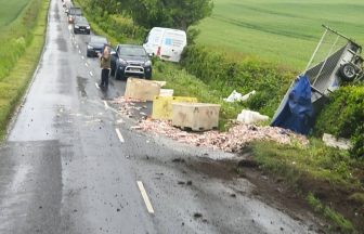 Hundreds of fish spill onto busy St Andrews road after trailer overturns