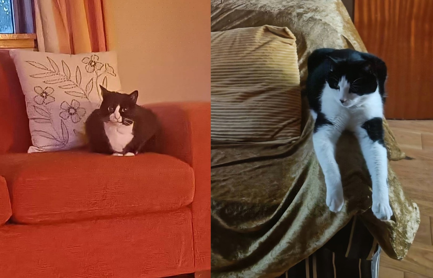 James and Bob have 'clearly been very loved'