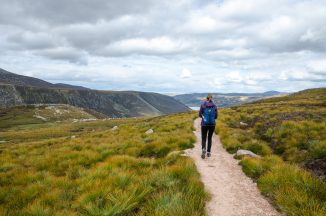 ‘Birdsong and forest baths’ prescribed by doctors in the Cairngorms