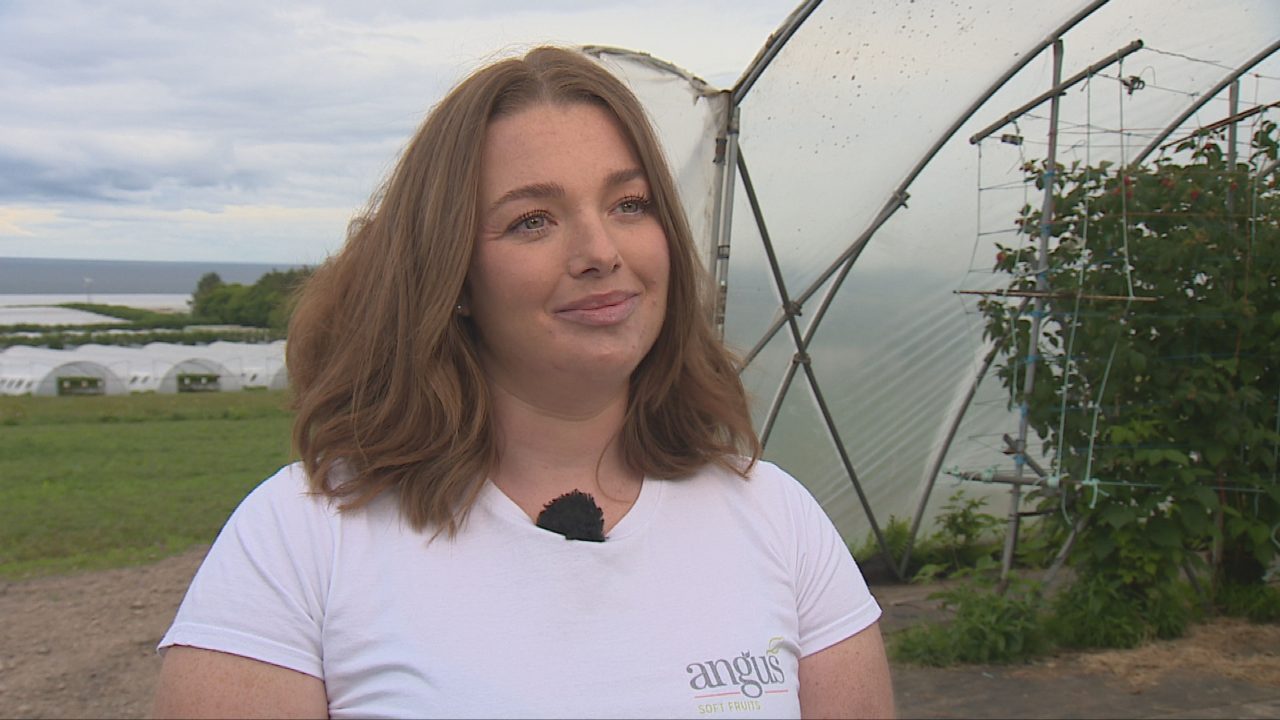 Cold weather brings ‘bumper’ season for Scottish berry growers