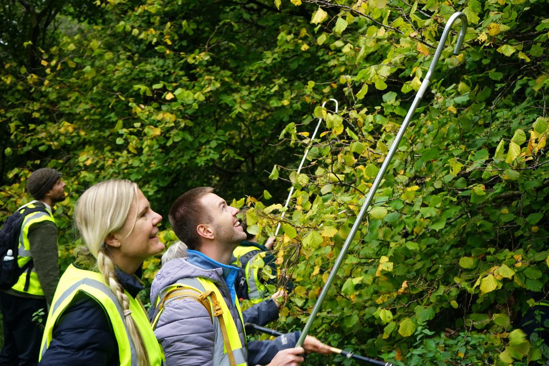 Trees for Life volunteers collect 11 million rare seeds to restore Scotland’s woodlands