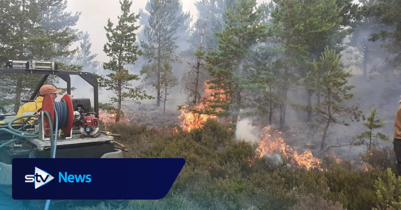 Wildfire which burned for over a week caused by 'natural occurrence'