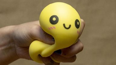 Counterfiet squishy toy containing false nail among 1,000 seized in Aberdeen