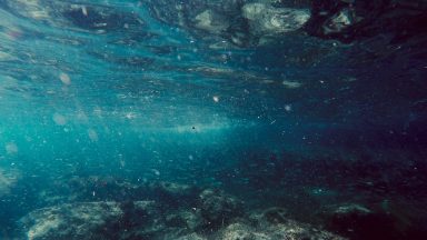 Ocean microplastics carry ‘memory’ of their movement, study finds