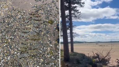 ‘Highly-explosive’ WW2 bomb blown up at Scots beach