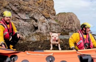 Dog and owner rescued after becoming trapped by rising tide during walk