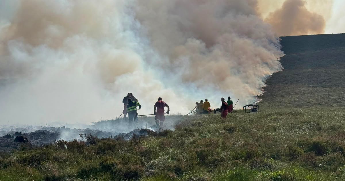 Wildfire in the Cairngorms that broke out on June 15, 2026.