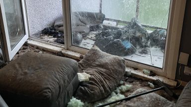 Dogs found living in faeces-covered Livingston flat with empty food and water bowls
