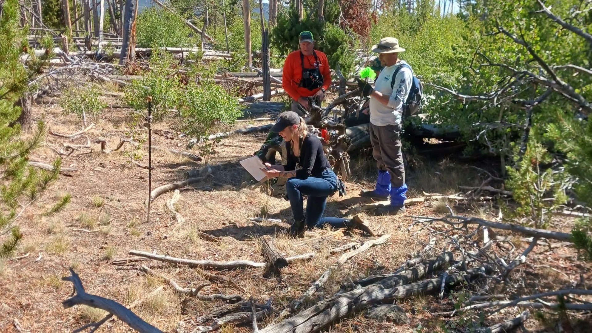 The bones of John Gillies were discovered near Sweetwater Gap in Fremont County, Wyoming.