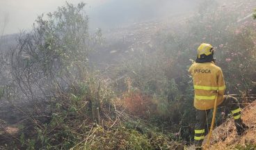 Four Brits among 11 believed dead in Spanish wildfire