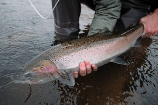 Concerns for Atlantic salmon due to water extraction from River Spey