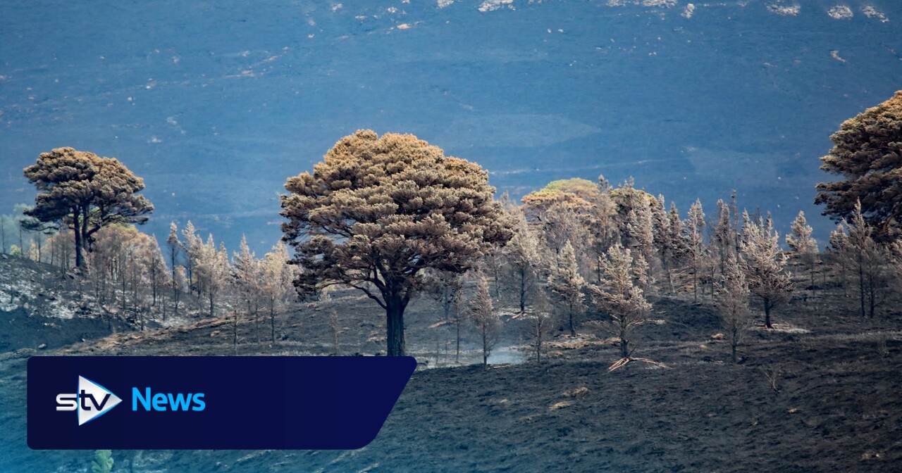 Hundreds of trees felled and bulldozed in race to stop Cairngorms wildfire spread