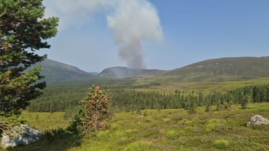 Firefighters work through night tackling wildfire which has led to evacuations