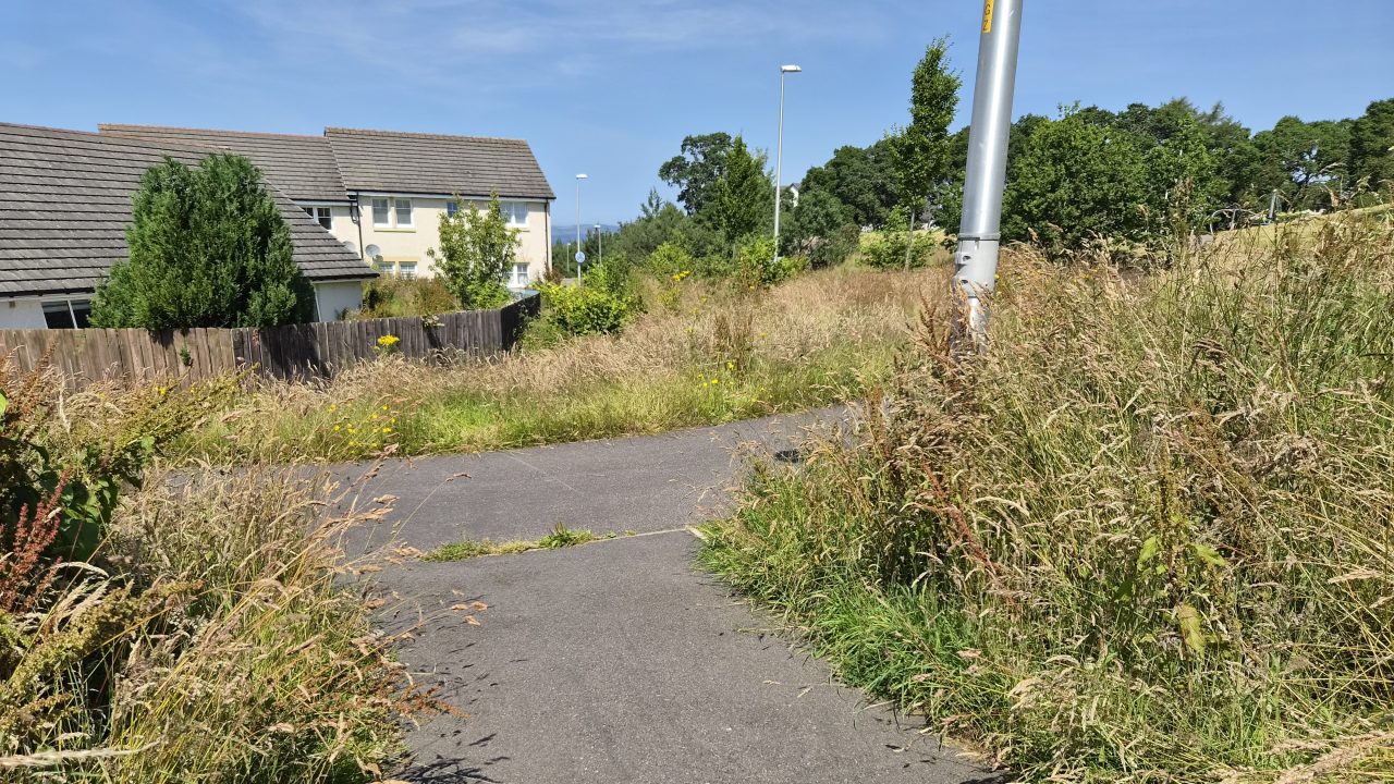 Residents complain of ‘never-ending saga’ as green spaces left to grow ‘knee deep’