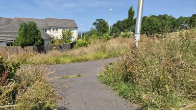 Residents complain of ‘never-ending saga’ as green spaces left to grow ‘knee deep’