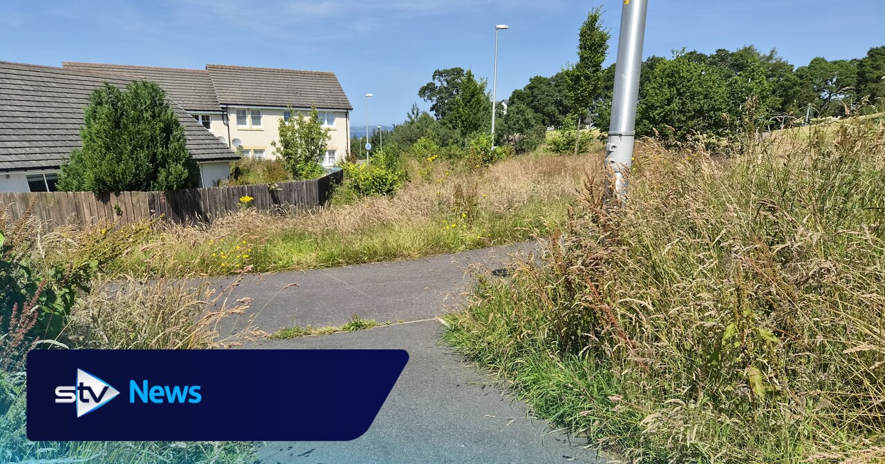 Residents complain of ‘never-ending saga’ as green spaces left to grow ‘knee deep’