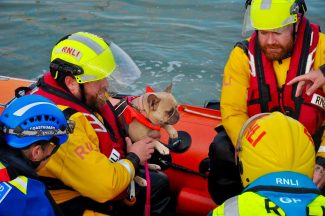 Man and dog rescued after medical emergency on grounded boat