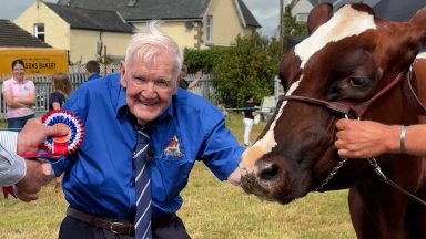 99 year old man fulfills dream to get back into the ring with Ayrshire cow