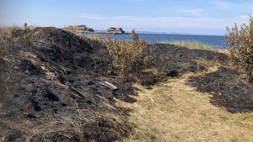 Disposable barbecue causes significant damage to East Lothian dunes