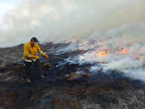 Firefighters spend third day tackling wildfire which has led to evacuations