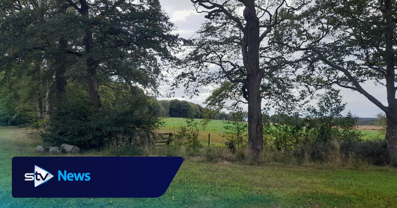 Plans for solar farm stretching nearly 200 acres to go before councillors