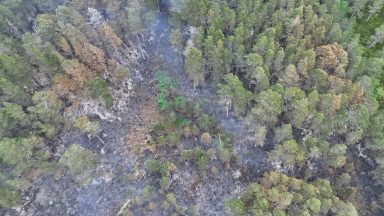 Cairngorms restrictions to remain in place as wildfire dampening down continues