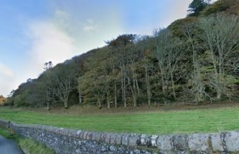 ‘No further police action’ after reports of rape at woodland in Oban