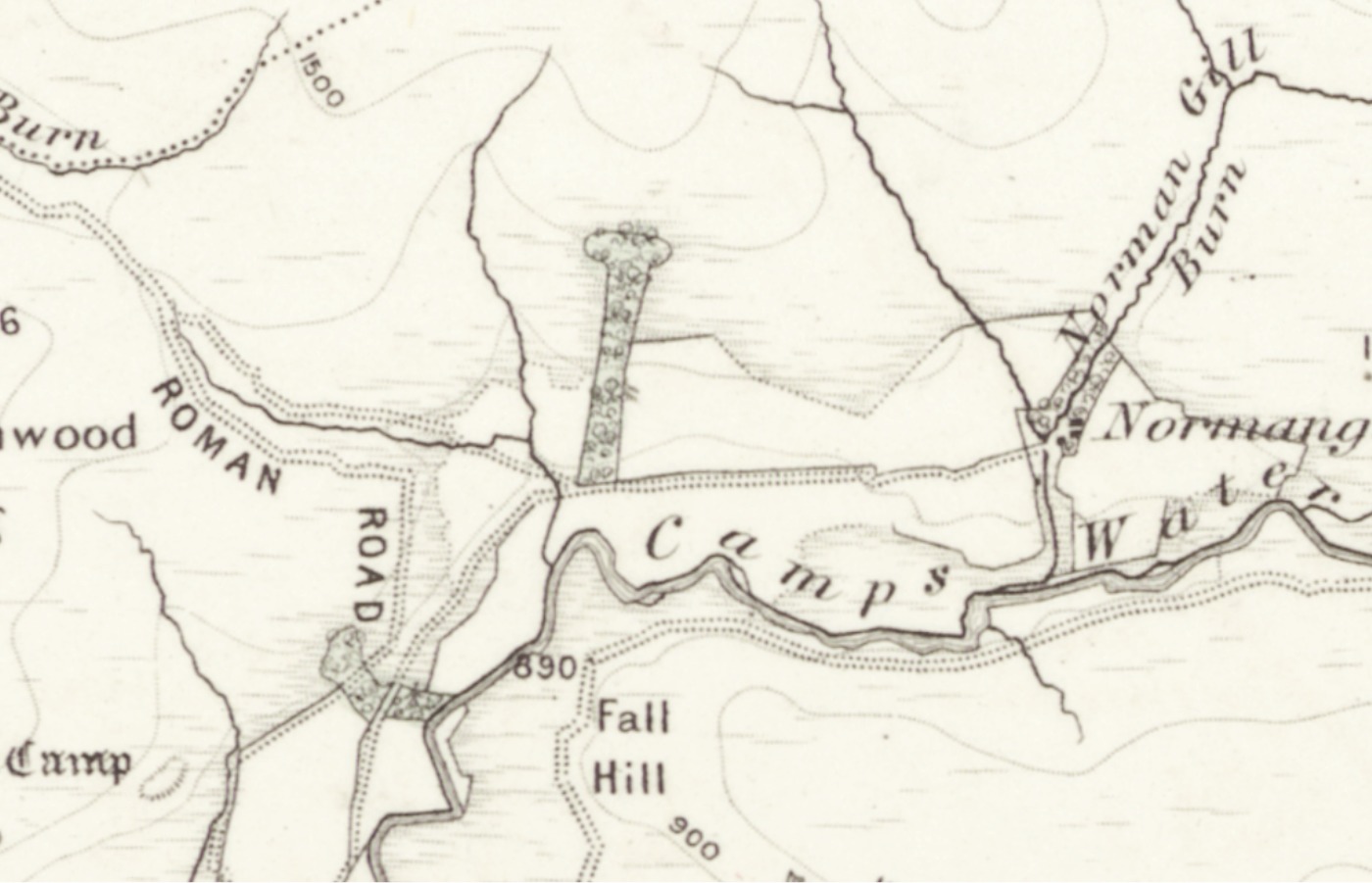 Treenis woods on a 19th century map