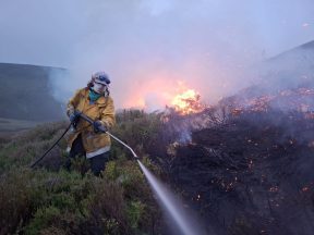 Scotland’s wildfire prevention and readiness must be top priority, warns fire chief